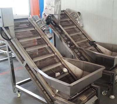 挖斗提升机 挖斗提升机