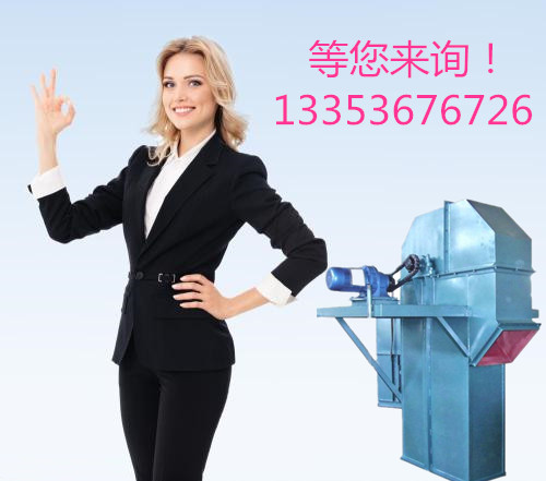 奥创环链斗式提升机等您来询 奥创环链斗式提升机等您来询