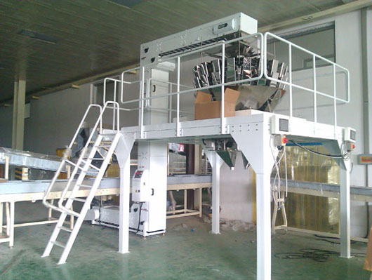 Z性斗提机展示 Z性斗提机展示